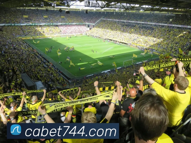 ca亚洲城APP 体育赛事宣传图